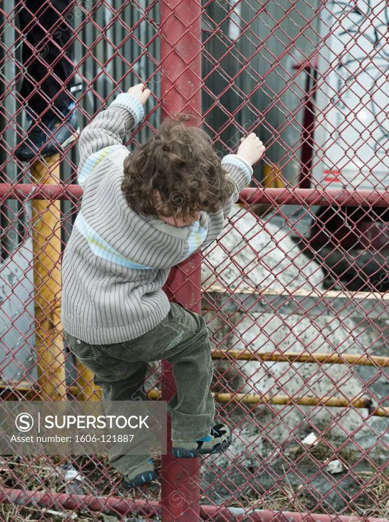 Little boy climbing fence
