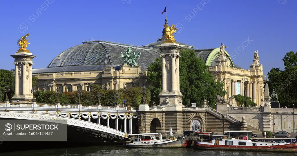 France, Paris, Grand Palais and Alexander III bridge