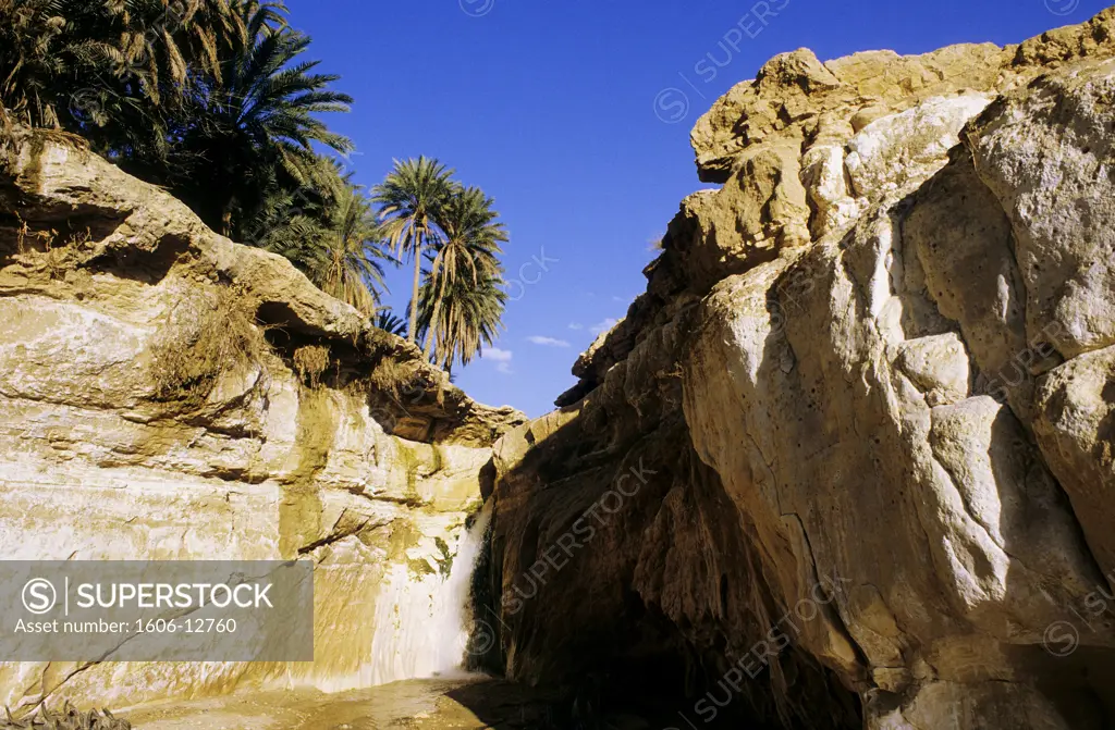 Tunisia, Tamerza oasis