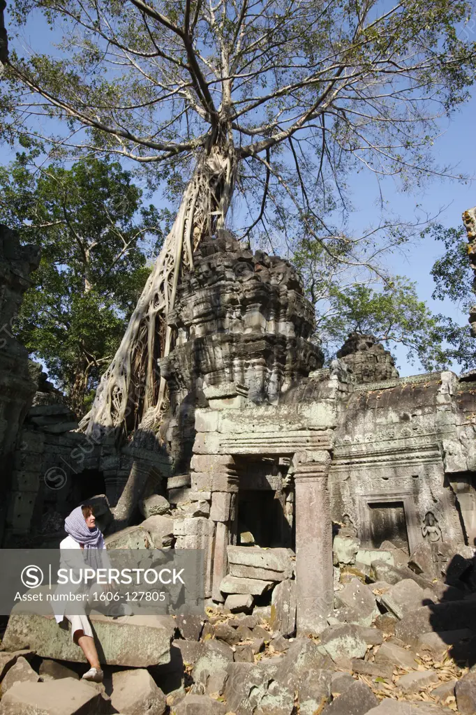 Cambodia, Siem Reap, Siem Reap, Strangler fig trees and creeping lichens devour ruins at Ta Prohm.  Cambodia.