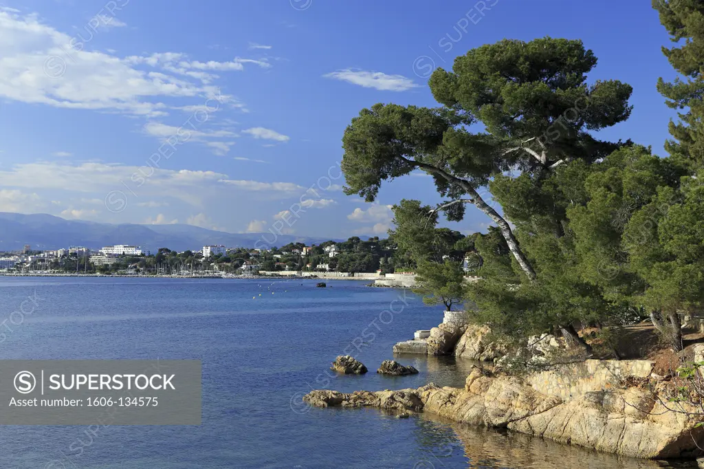 France, French Riviera, Cap d'Antibes