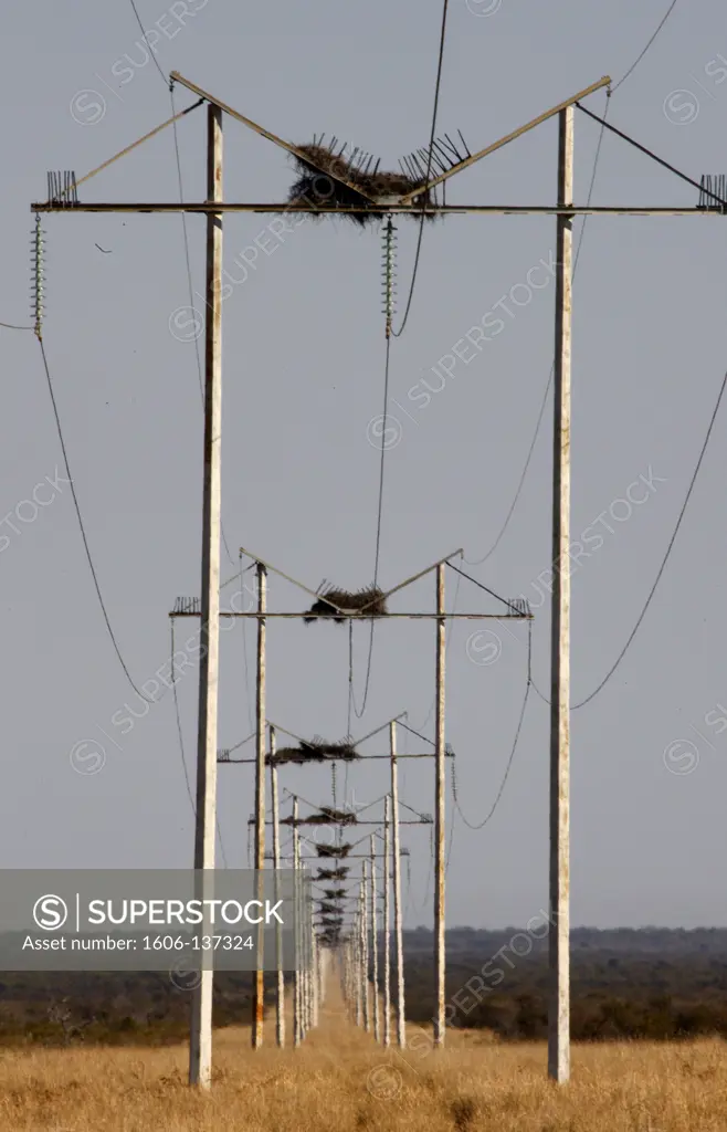 South Africa, North West Province, Madikwe. Electric wiring South Africa.