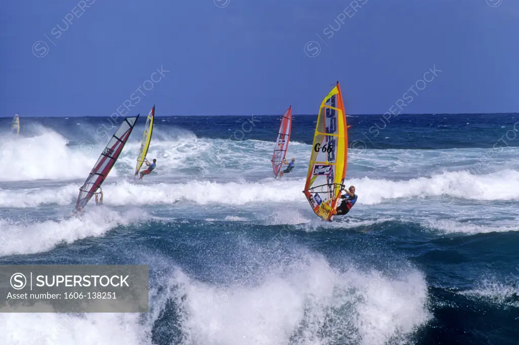 USA, Hawaii, Maui island, Hookipa beach parc (near Paia), windsurf