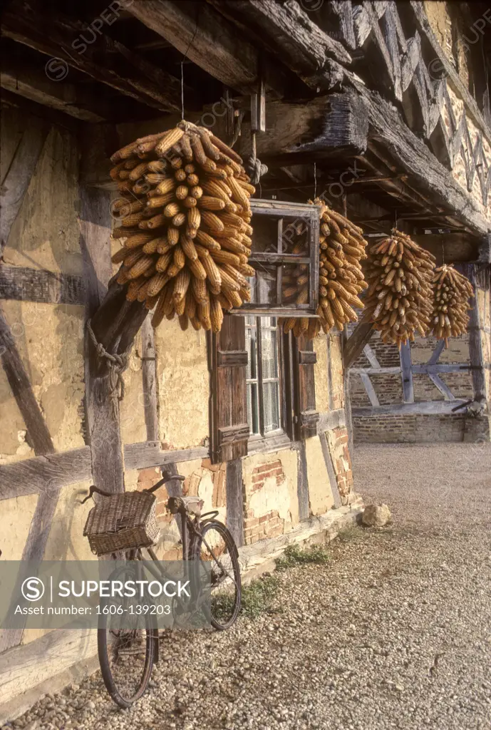 France, Rhones-Alpes, Ain (01), Bresse country, Saint Trivier-de-Courtes, Forest farm  from 16th century (museum)