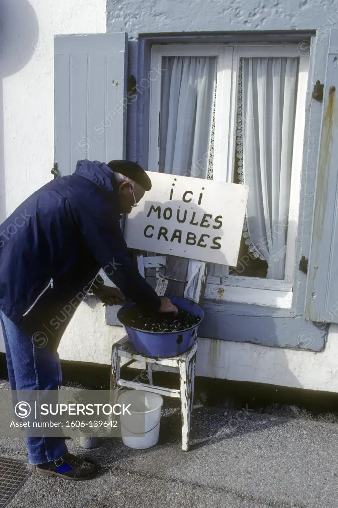 France, Nord Pas-de-Calais, Pas-de-Calais (62), Audresselles