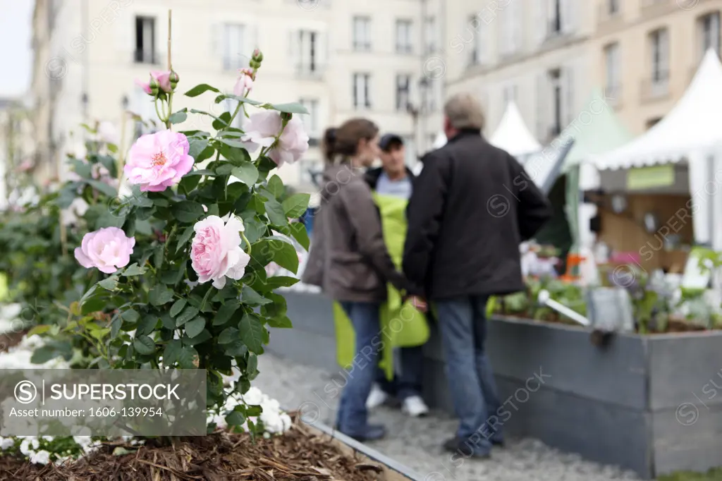 France, Versailles, flower exhibition