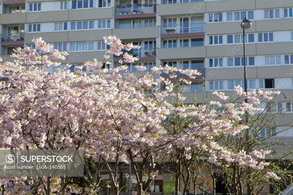 France, Paris, 13th arrondissement