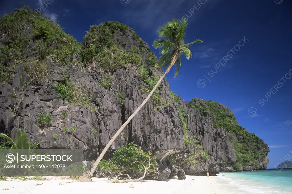 Philippines,Palawan,Bascuit Bay,El Nido,Entalua Island,Palm Beach
