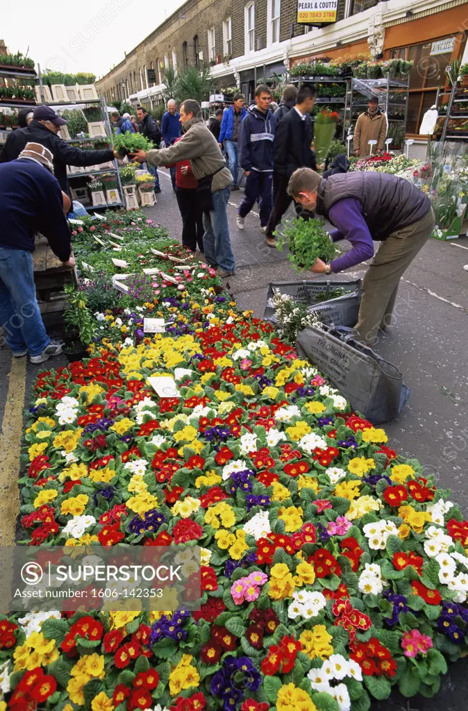 England,London,Columbia Road Flower Market