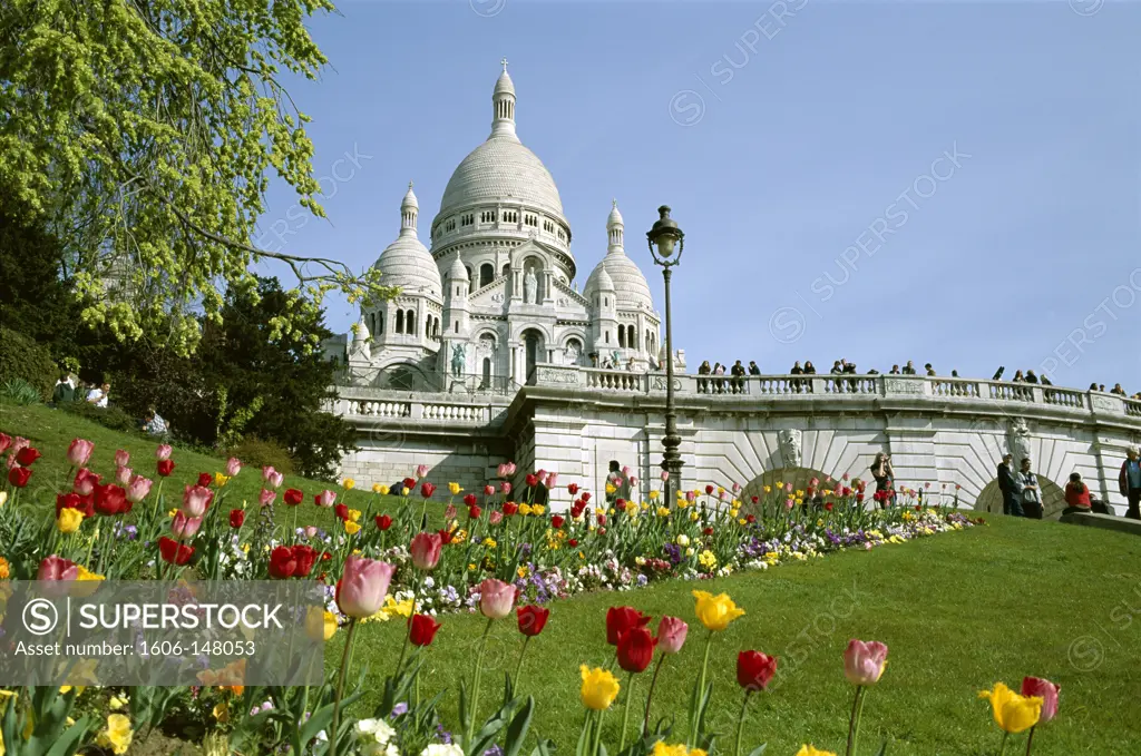 France, Paris, Sacre-Coeur (Basilique du Sacre-Coeur) / Flowers / Tulips in Foreground