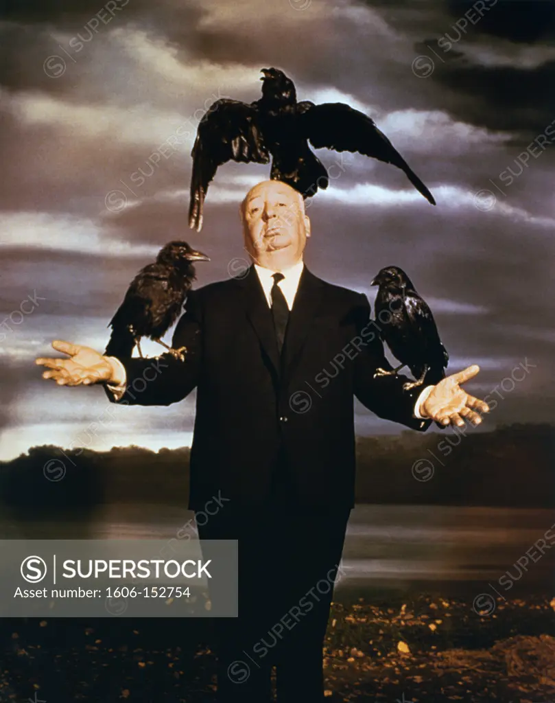Alfred Hitchcock / The Birds 1963 directed by Alfred Hitchcock