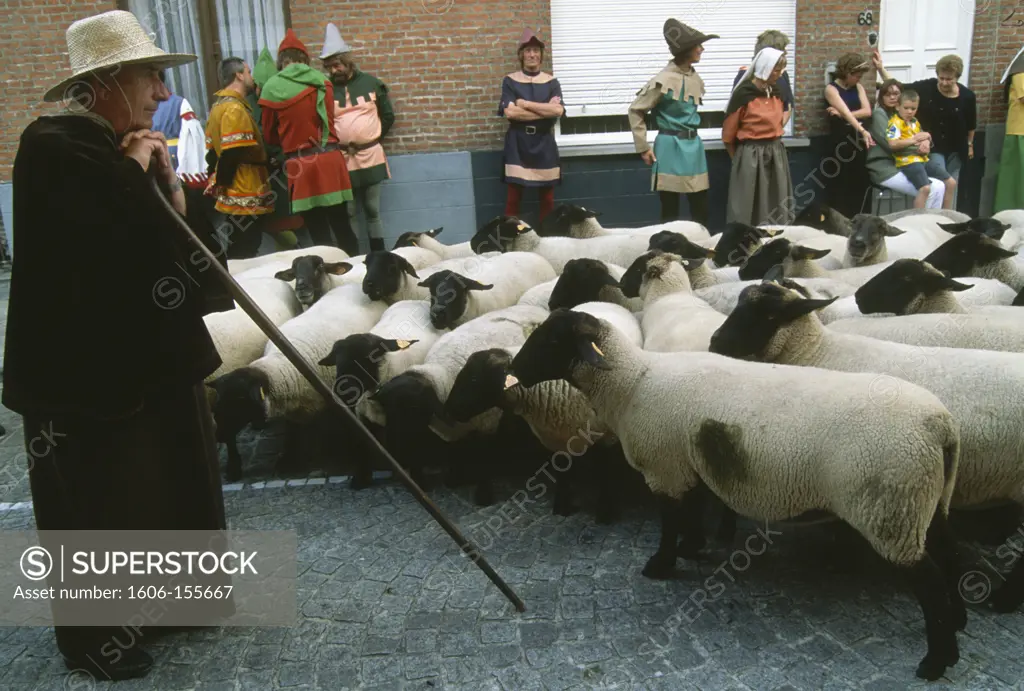 Belgium, Bruges, Pageant of the Golden Tree, festival, sheep,