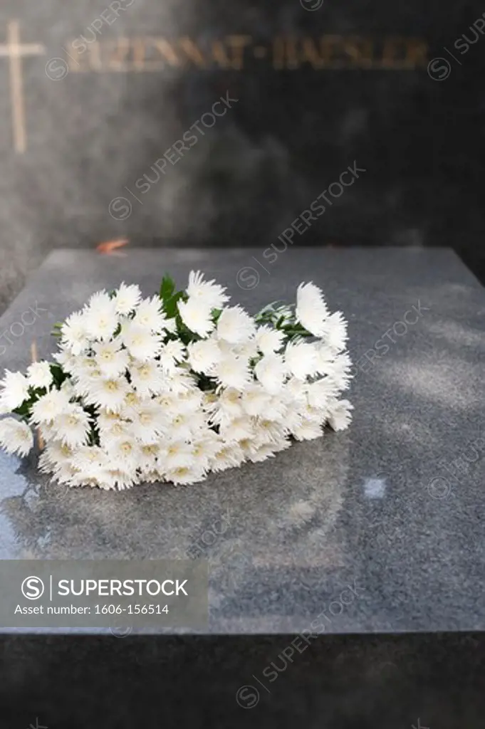 France, Paris, Pere Lachaise Cemetery, bouquet of chrysanthemums on a grave