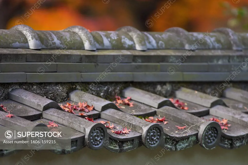 Autumn leaves collect on the kawara tile rooftop of a traditional eartern wall inside Myoshinji Temple, located in the northern area of Kyoto, Japan.
