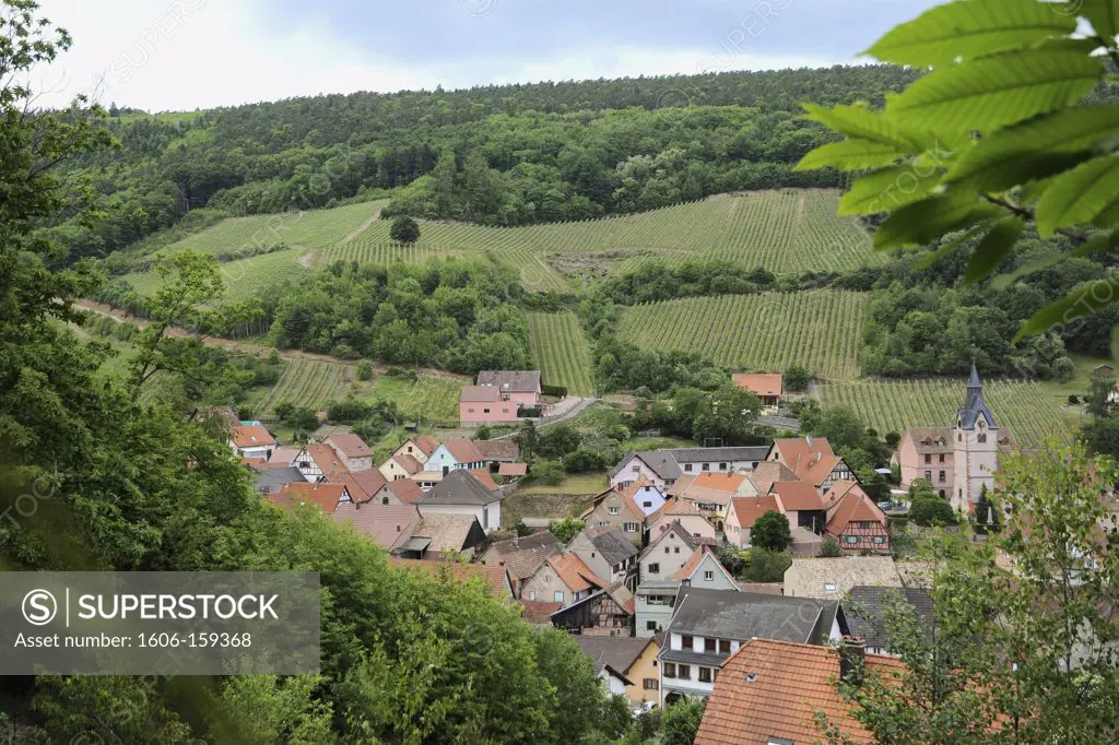 France, 67, Reichsfeld and vineyard ""village and vineyard""