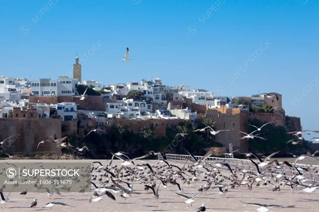 Morocco-Rabat City-The Medina (W.H.)
