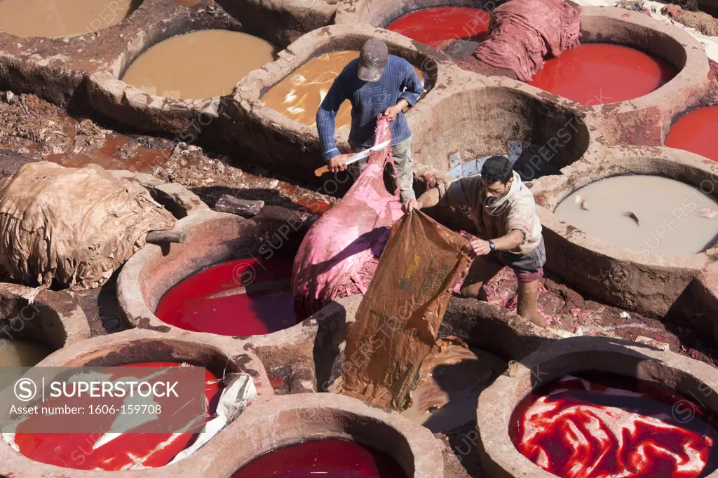 Morocco-Fes City-Fes Tannery