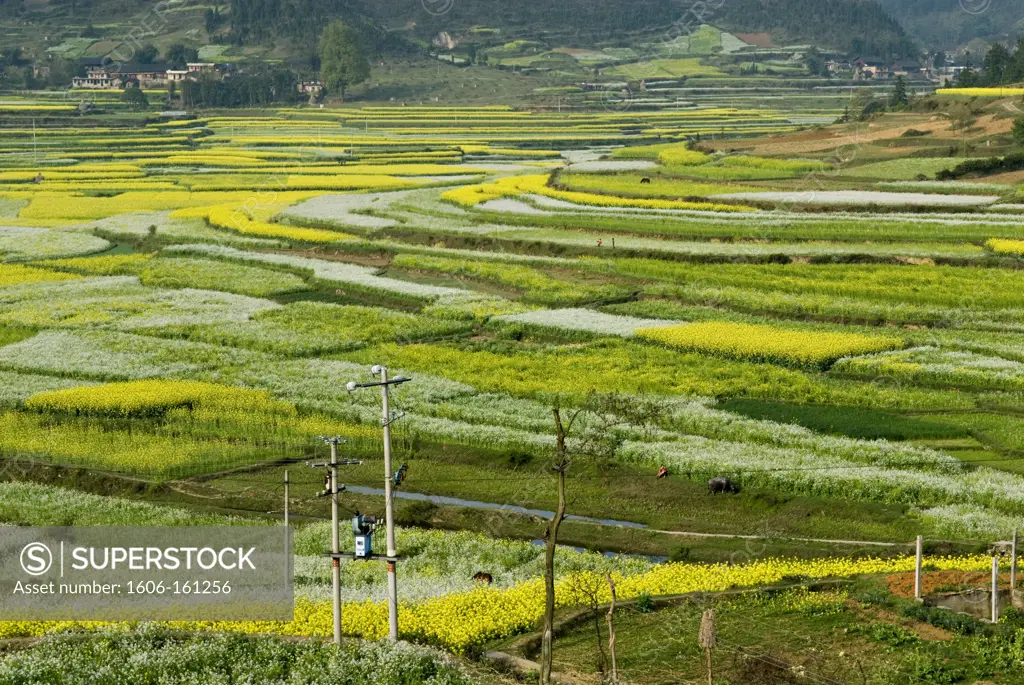 Scenery of estern guizhou;China