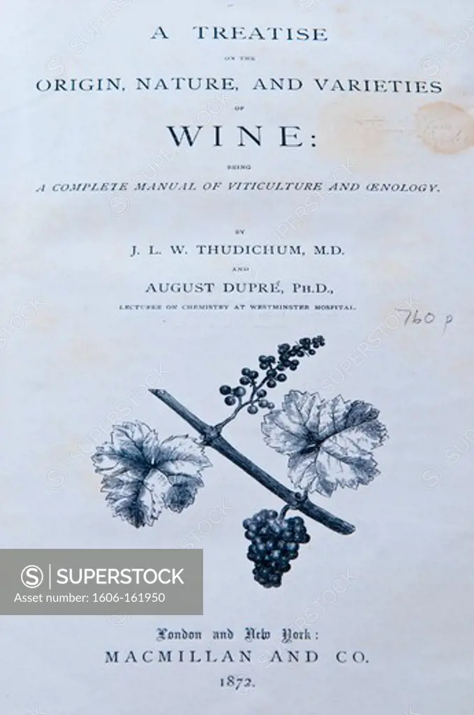 South Africa, Western Cape Province, Somerset West, Winelands, Wine road, Vergelegen Estate (1700), detail of a book of 1875