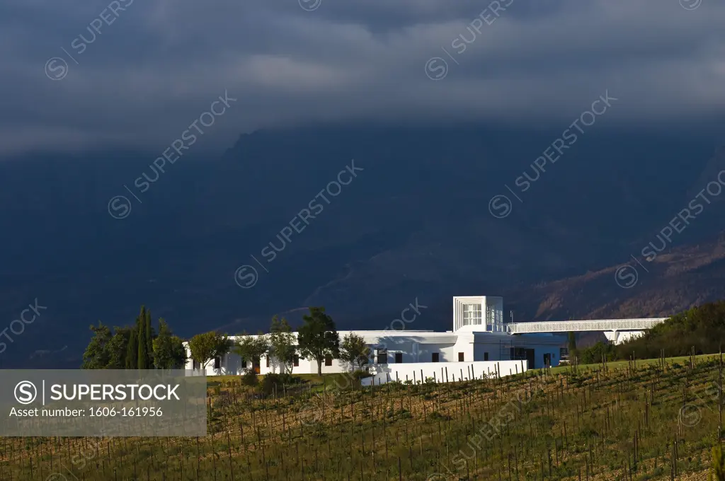 South Africa, Western Cape Province, Somerset West, Winelands, Wine road, the modern cave of the Vergelegen Estate