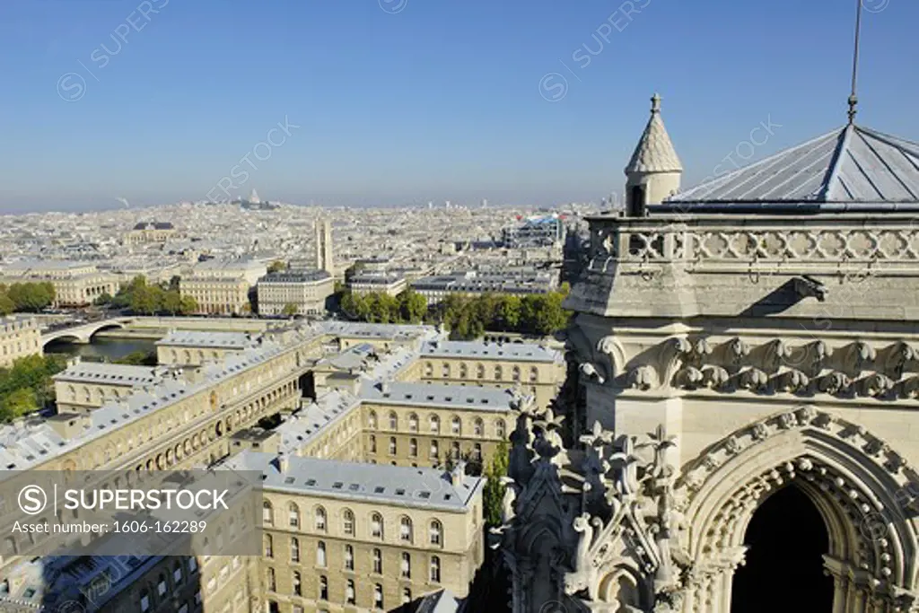 France, Ile-de-France, Capital, Paris, 4th, City center, plunging View(Sight) (seen since Notre-Dame)