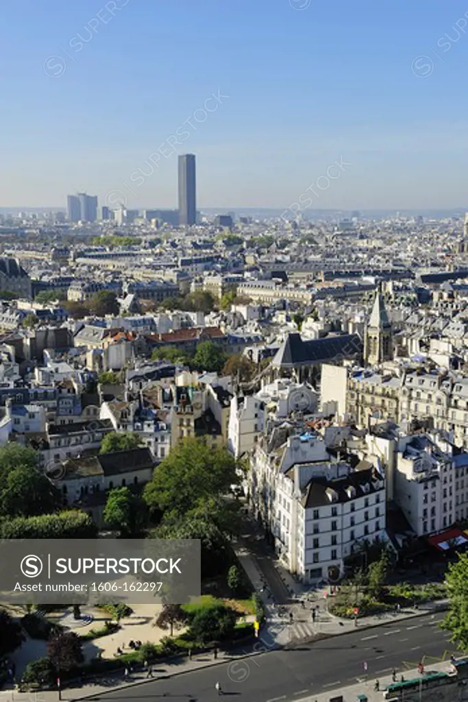 France, Ile-de-France, Capital, Paris, 5th, City center, plunging View(Sight