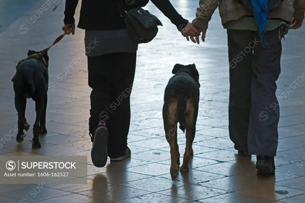 France, Bordeaux, 33, Sainte-Catherine street, couple walking with their dogs