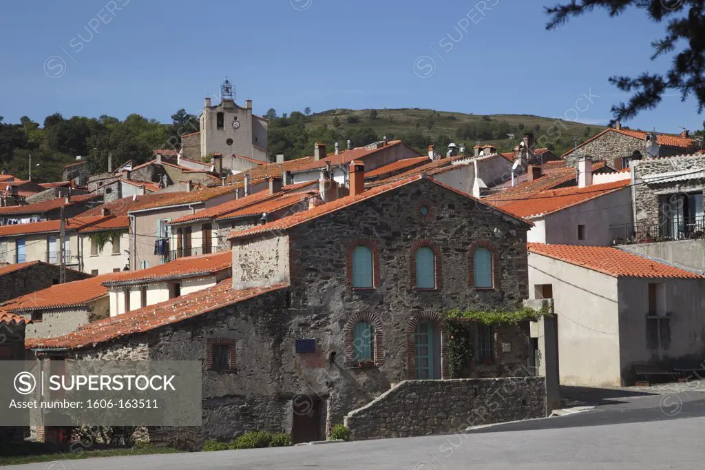 France, Languedoc Roussillon, Pyrénées Orientales (66), Saint Marsal, Aspres mountain (between Serrabone and Amelie les Bains)
