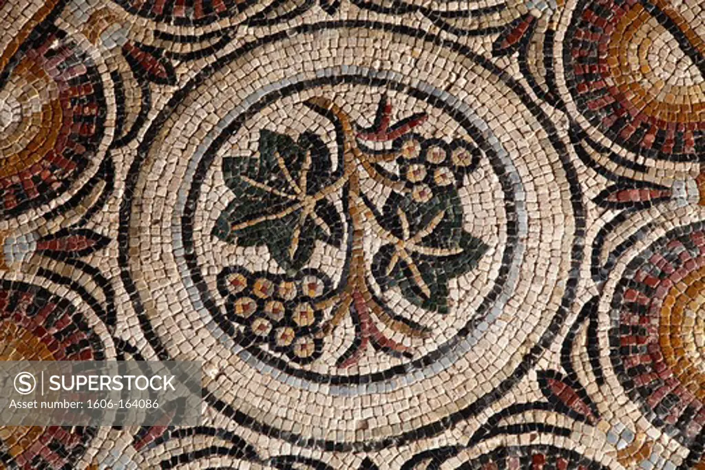 France, Midi-Pyrénées, Gers (32), Montreal-du-Gers, villa gallo romaine of Seviac, mosaic, (4th and 5th centuries)