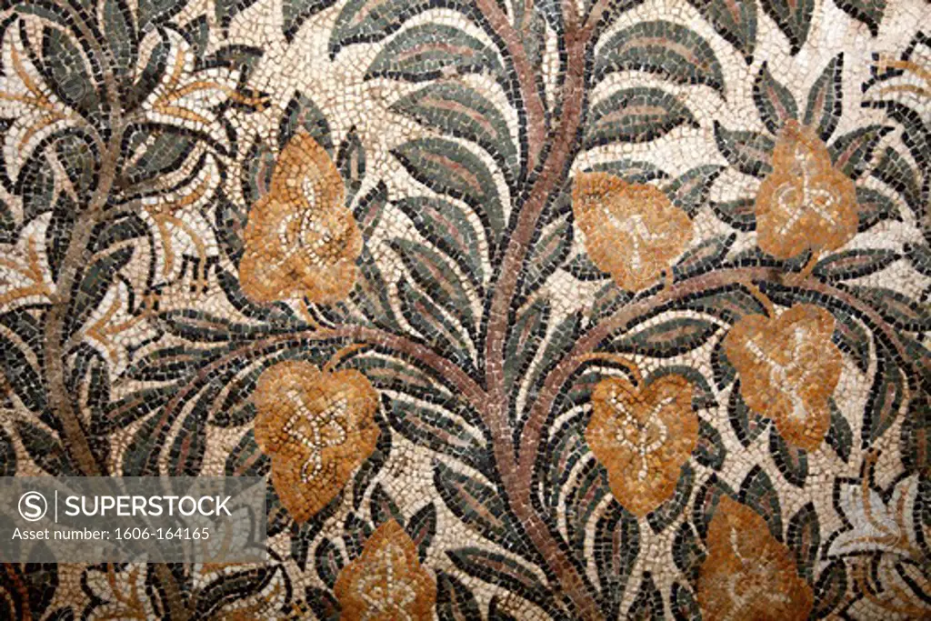 France, Midi-Pyrénées, Gers (32), Montreal-du-Gers, archeological museum, mosaic from Seviac gallo romaine house