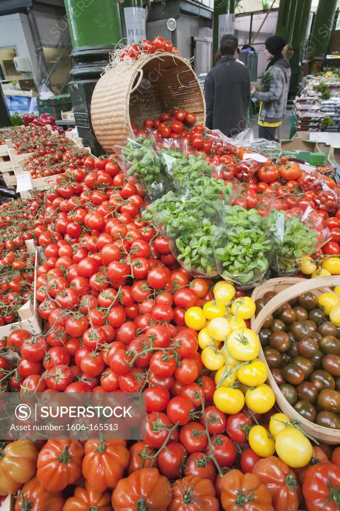 England,London,Southwark,Borough Market,Vegetable Stall,Tomatoe Display
