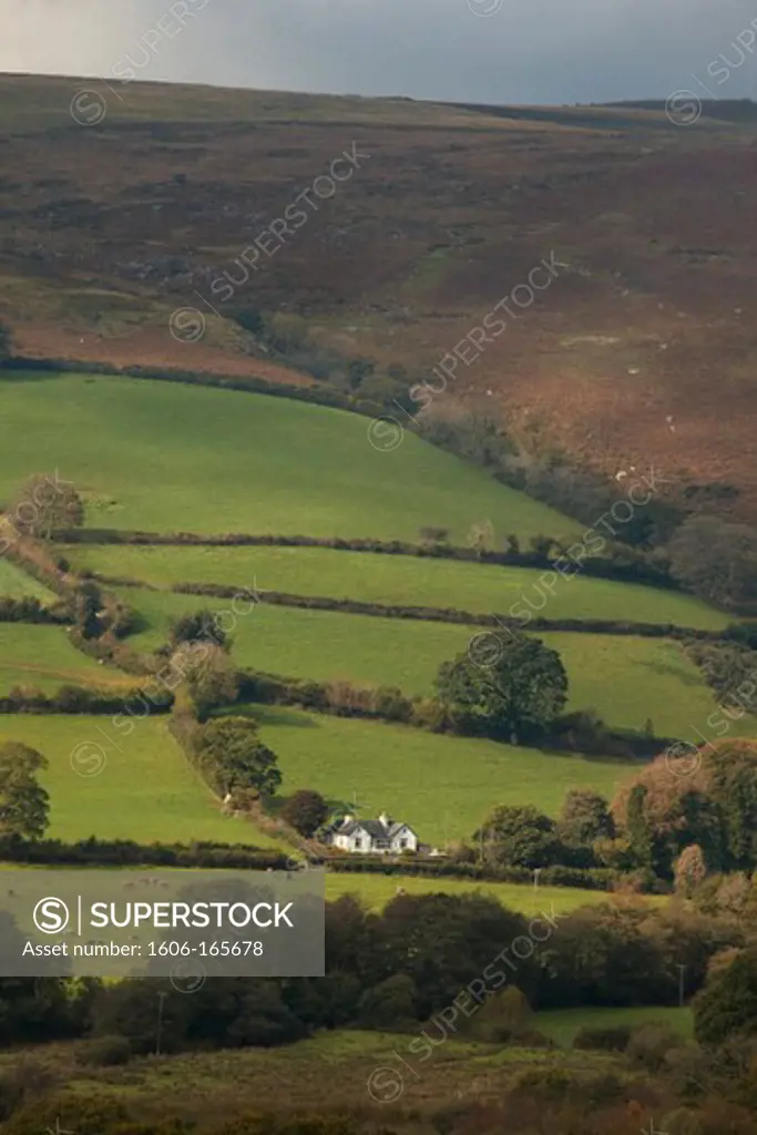 Dartmoor National Park,Devon,England, landscape