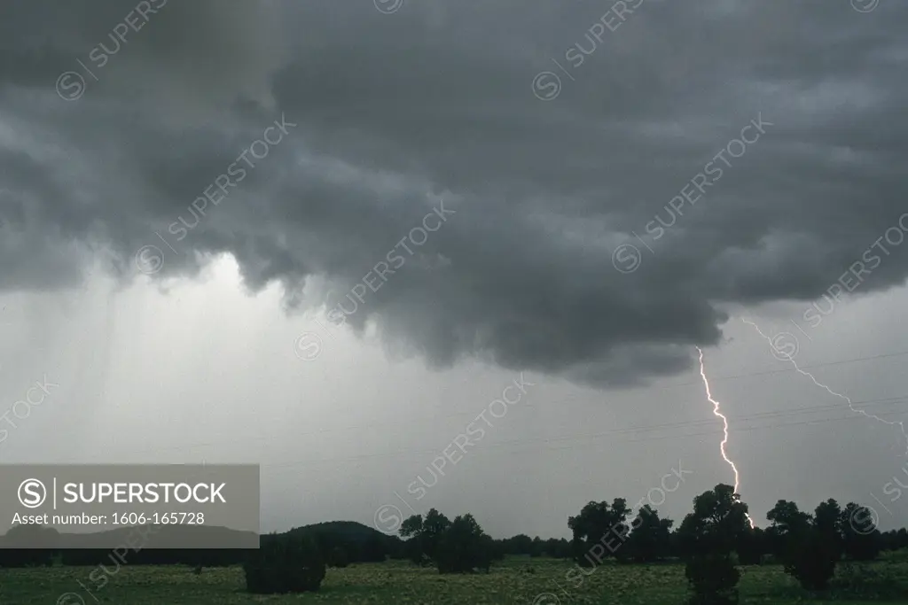 USA, Lightning falling on trees, gray sky, clouds