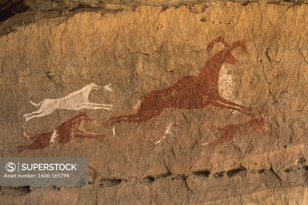 Libya, Acacus plateau, rock paintings of dogs chasing a sheep