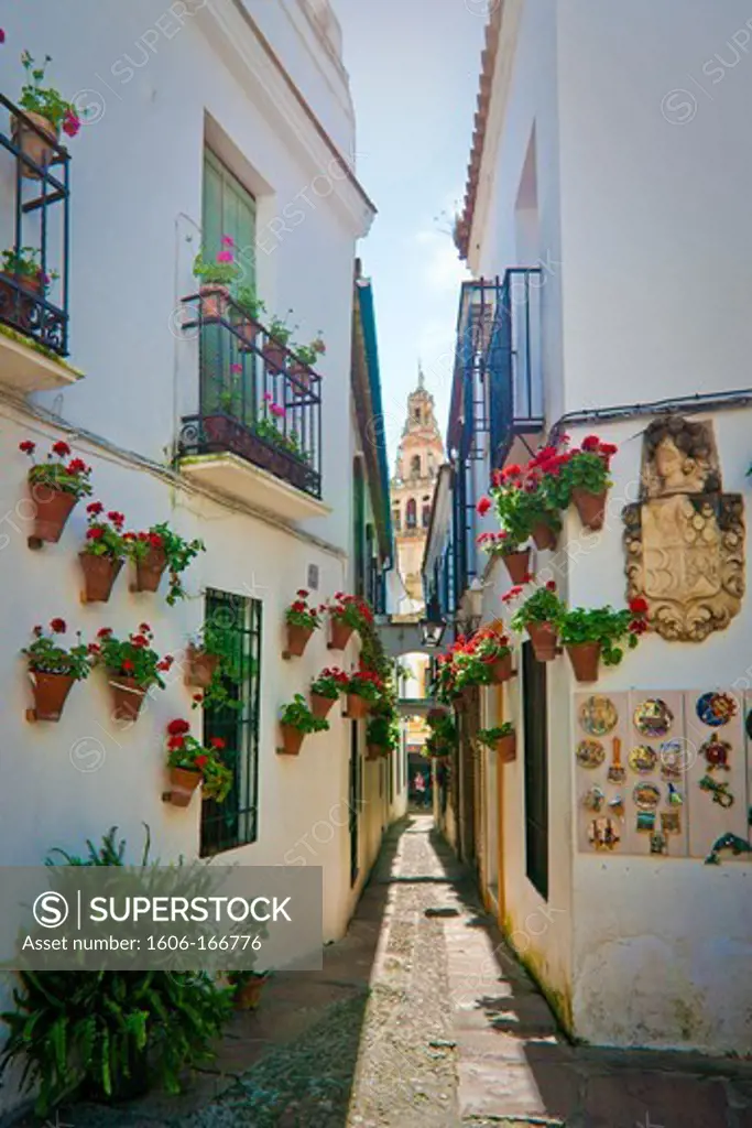 Spain, Andalusia, Cordoba, Flowers Street
