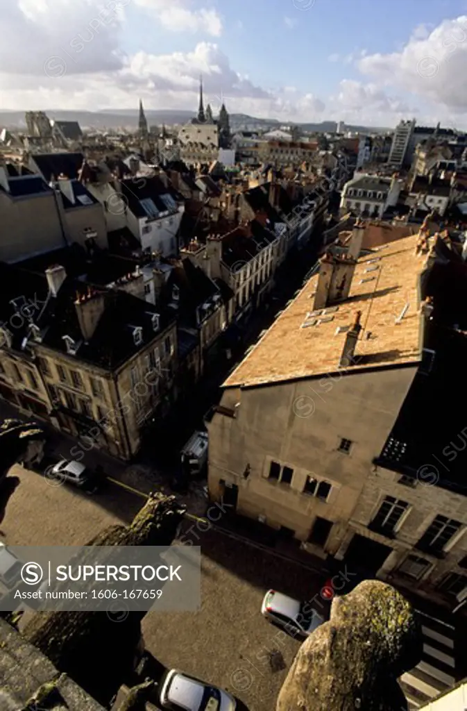 France, Dijon, the gargoyles of Notre Dame, view of the city