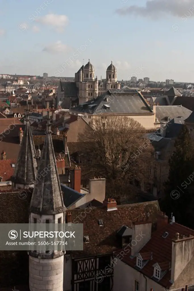 France, Dijon, view of the city from Notre Dame church