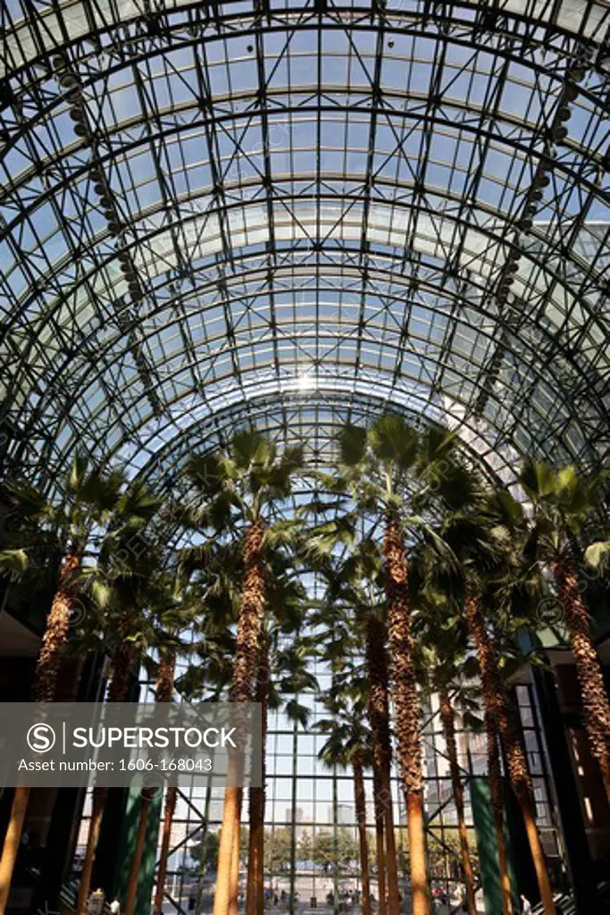 New York - United States, palm trees in the atrium of the winter garden of the World Financial Center
