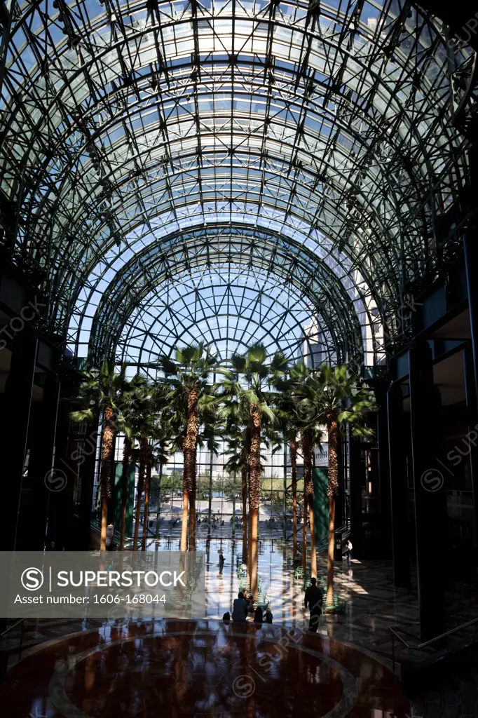 New York - United States, palm trees in the atrium of the winter garden of the World Financial Center