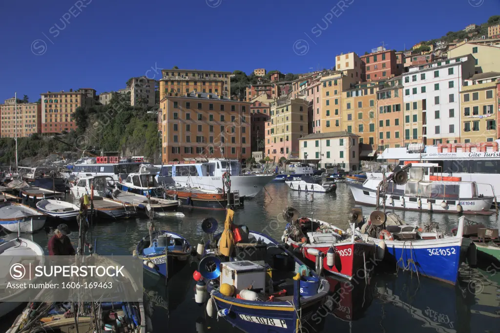 Italy, Liguria, Camogli, harbour, boats, general view,