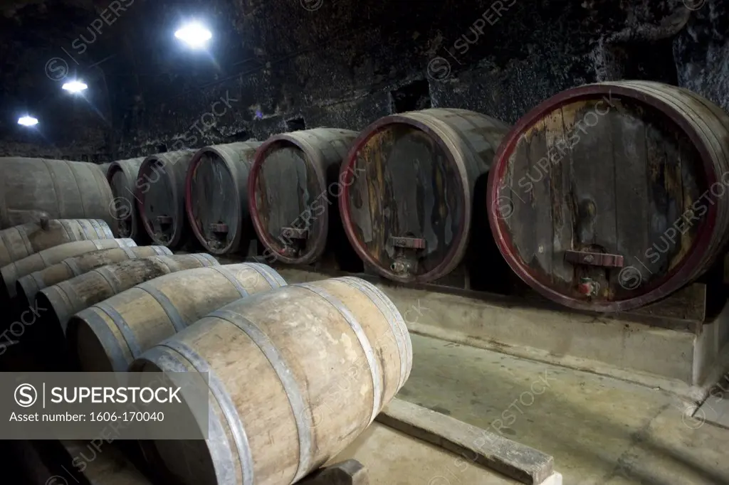 Wine barrels, castle of breze celar, Saumur, Maine et Loire, Pays de la Loire, France