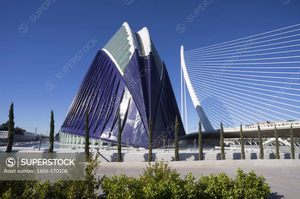 Spain-Valencia Community-Valencia City-The City of Arts and Science built by Calatrava-The Agora and Assut del Or Bridge