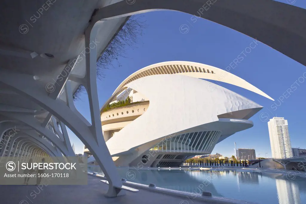 Spain-Valencia Community-Valencia City-The City of Arts and Science built by Calatrava-The Palace of Arts