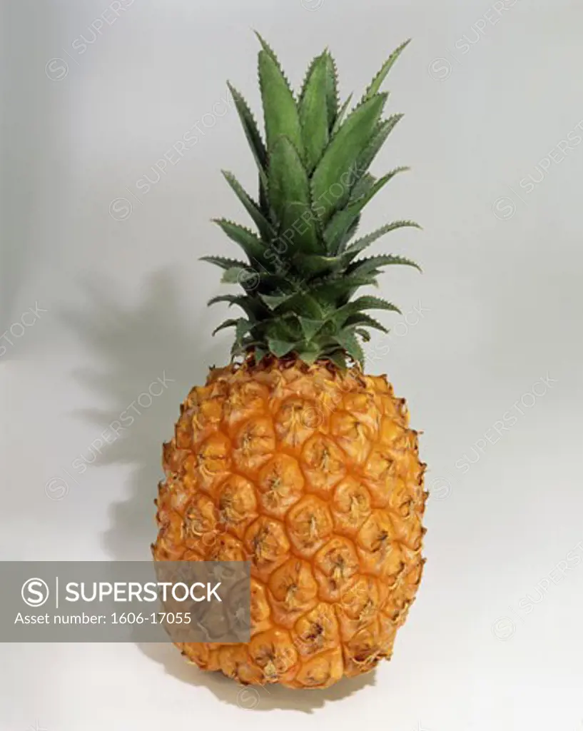 Pineapple on grey background