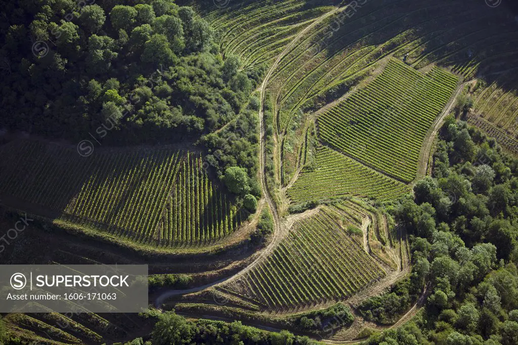France, Aveyron, Marcillac vineyard, aerial view
