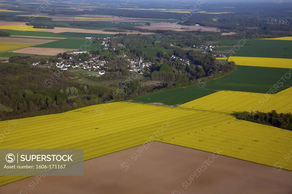 France, Indre-et-Loire, Touraine, aerial view of colza fields