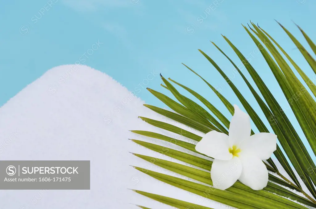 White towel with tropical flower poolside