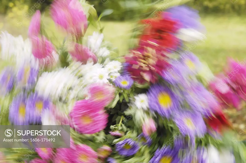 Pink and mauve bouquet in movement, blurred