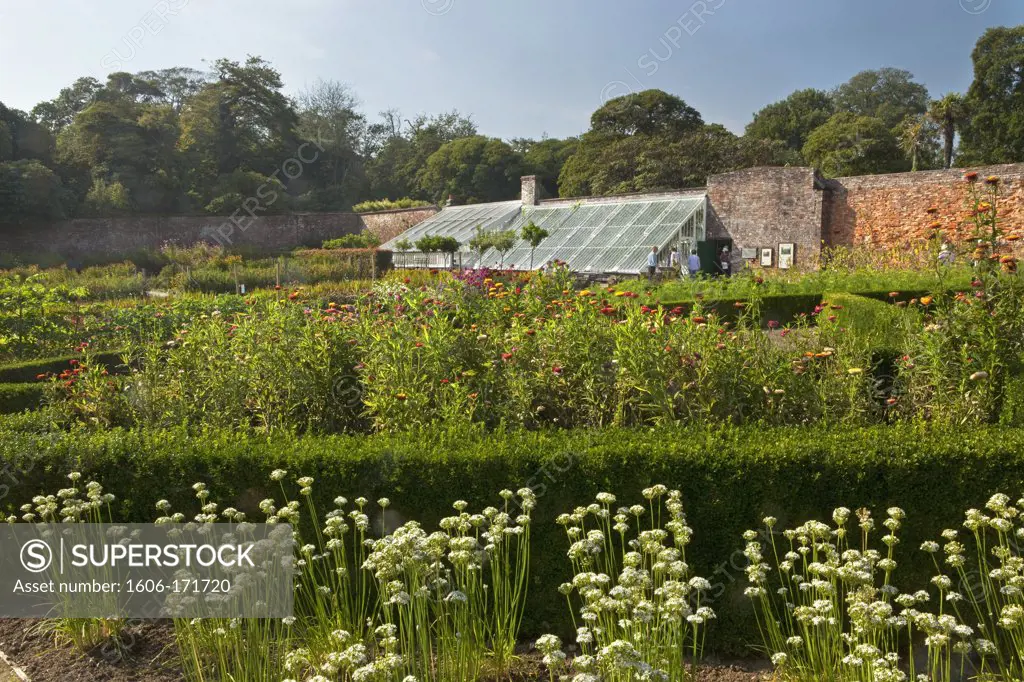 U.K Cornwall,The Lost Gardens of Heligan,Greenhouses