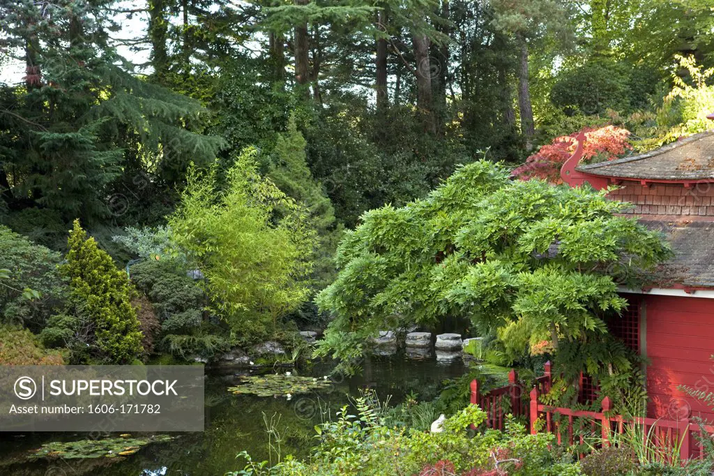 U.K ,Dorset,Compton Acres Gardens, the japonese garden